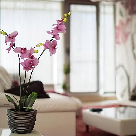 Apartment Luxury Burgas
