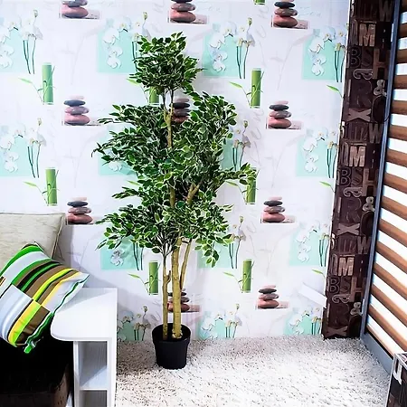 Luxury Appartement *