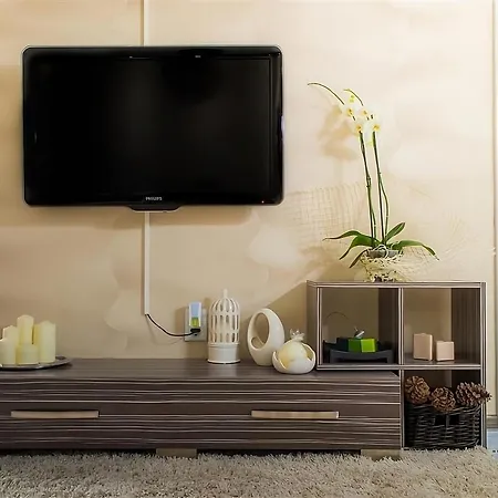 Luxury Apartment