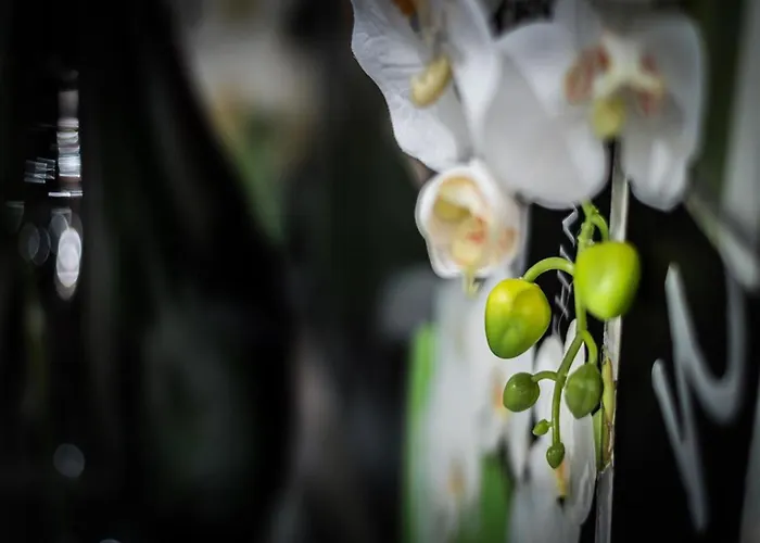 Luxury Апартаменты *